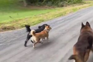 Ícone de sino para notificações