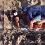 Crianças ficam presas em buraco na areia da praia nos EUA. Vídeo
