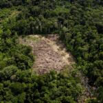 Incêndios na Amazônia comprometem qualidade do ar em outros países
