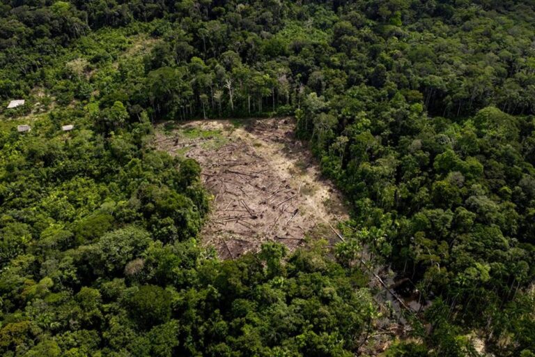 Incêndios na Amazônia comprometem qualidade do ar em outros países