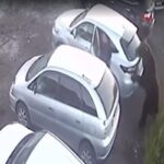 Em fúria, urso persegue e ataca homem na Rússia. Vídeo