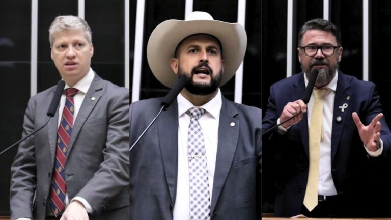 Corregedoria pede suspensão de Van Hattem e mais dois