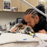 Hamilton atualiza estado de saúde de Roscoe após internação. Confira