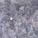 Mulher é resgatada de helicóptero após se perder em desafio do YouTube