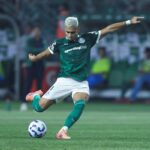 Palmeiras dispara nas chances de ser campeão Brasileiro. Confira